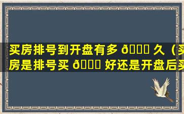 买房排号到开盘有多 🐋 久（买房是排号买 🐟 好还是开盘后买好呢）